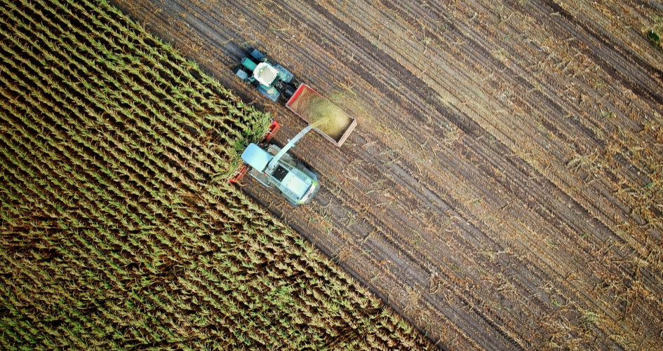 farm