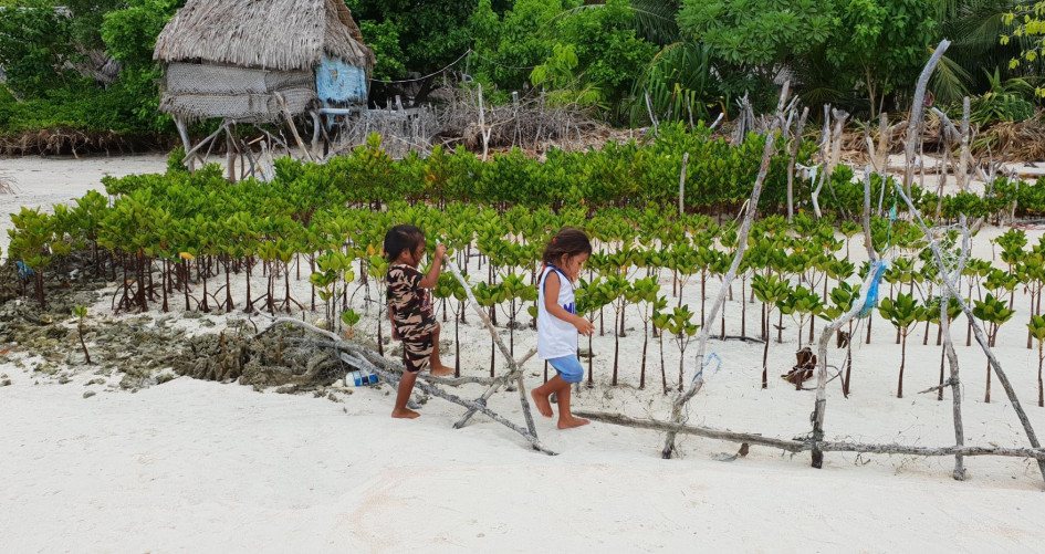 Two little kids playing in a mangrove in Kiribati