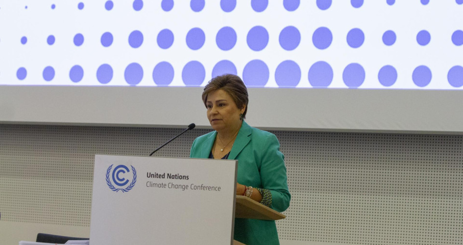 ES at the meeting with the High-Level Climate Champions