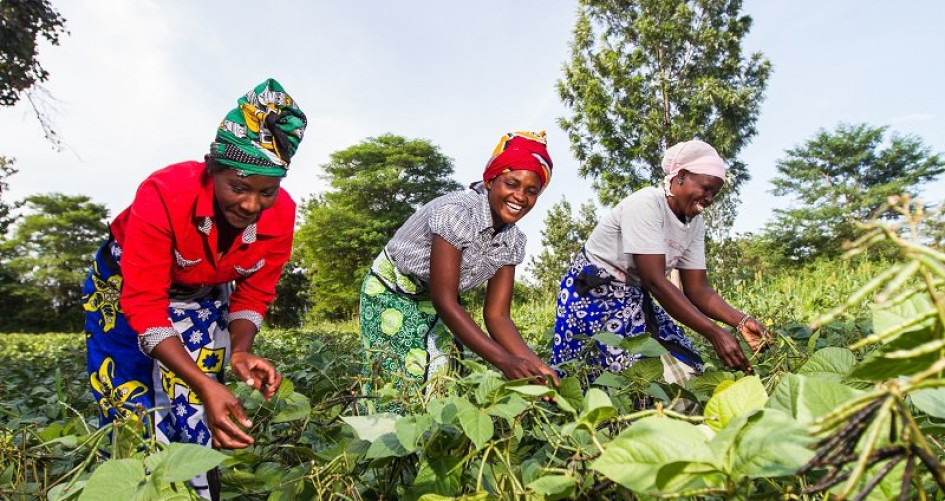 African women farmers