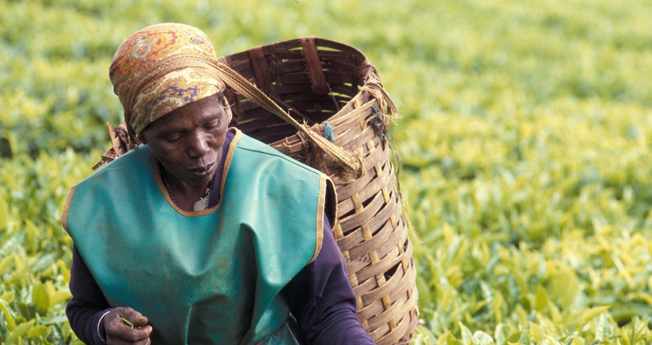 Woman farmer in Africa