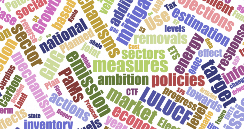 Multilateral Assessment (MA)