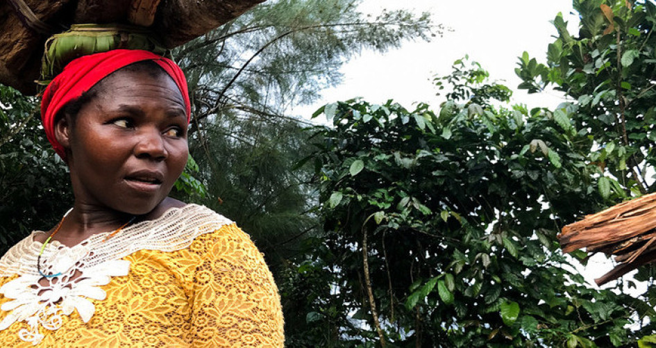 Comoro women farmers battling climate change