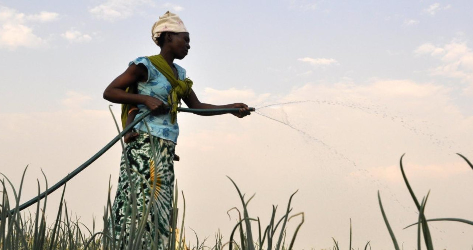 Woman participating in irrigation project in Mozambique