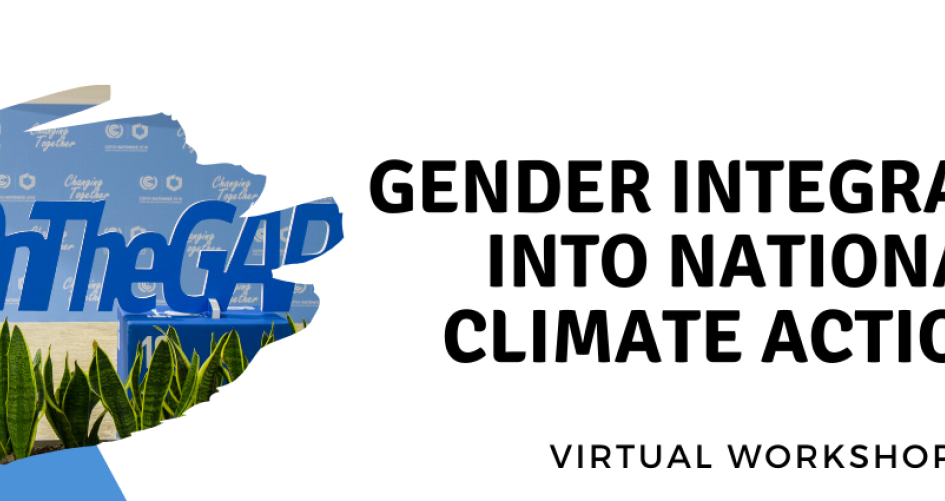 Virtual workshops - Gender integration into national climate actions