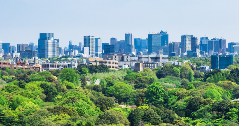 Urban landscape Tokyo