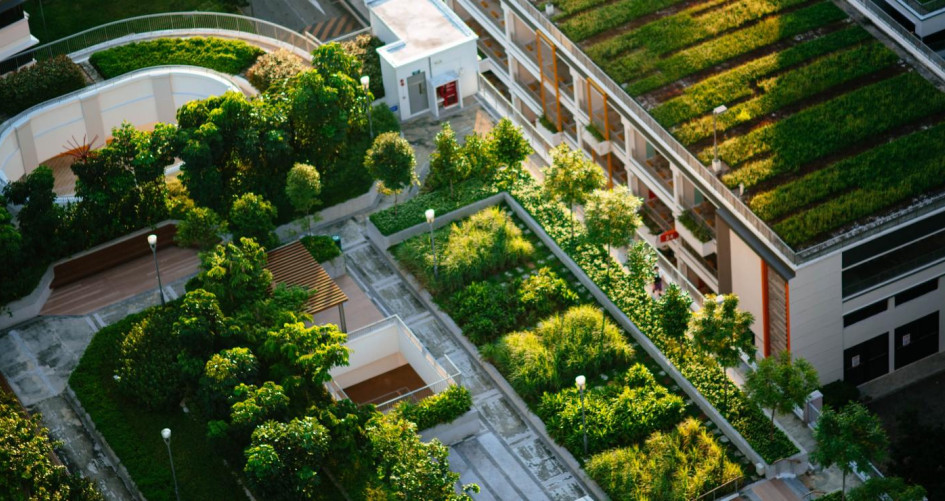 Green buildings
