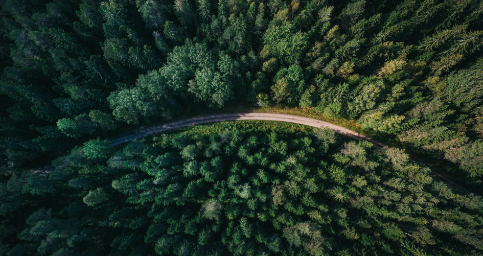 Aerial view of a road going through a dense green forest