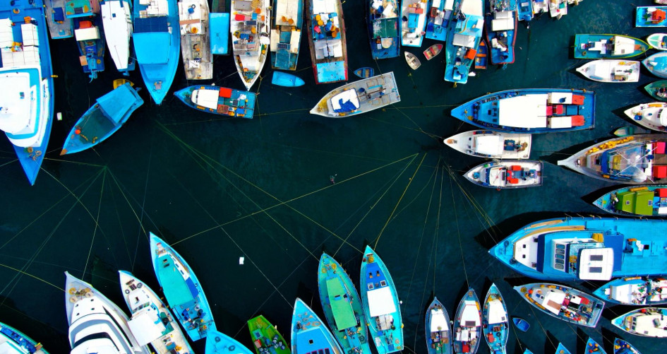 Aerial View of  a myriad of fishing boats in a harbor