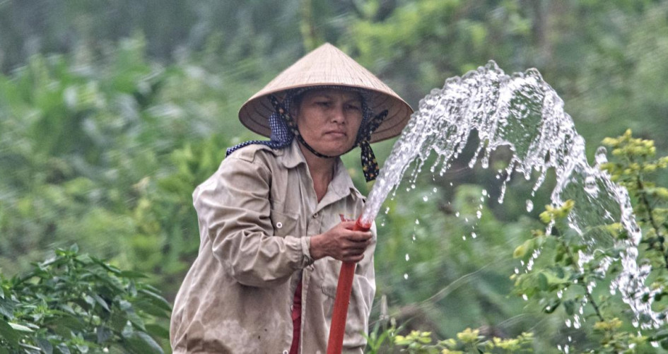Woman watering fields in Vietnam