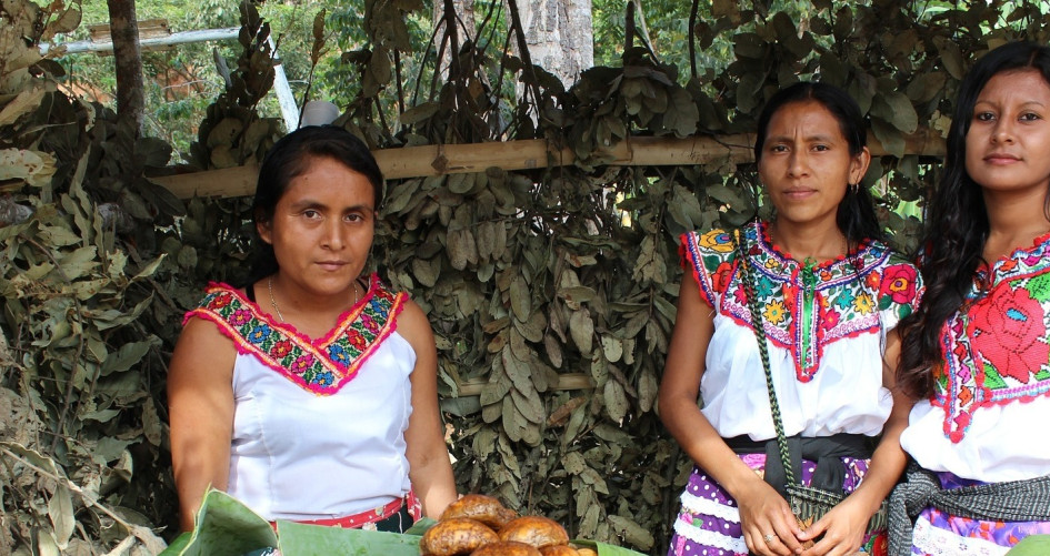 Indigenous Mexican women
