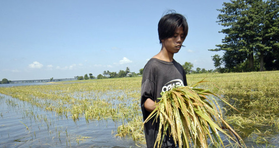 Farmer in flooded field Philippines