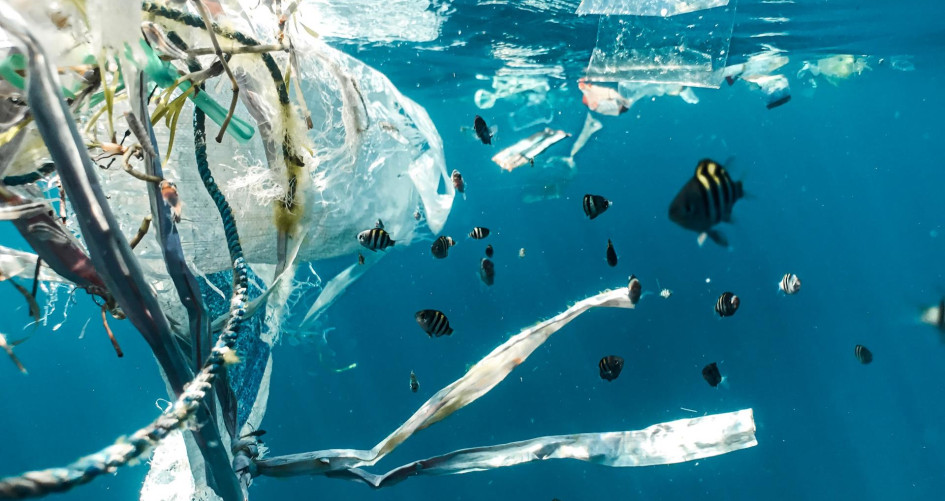 plastic debris floating underwater