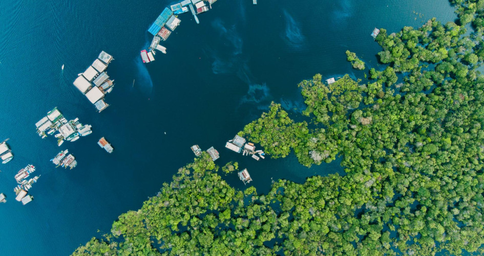 An aerial view of the Amazon River