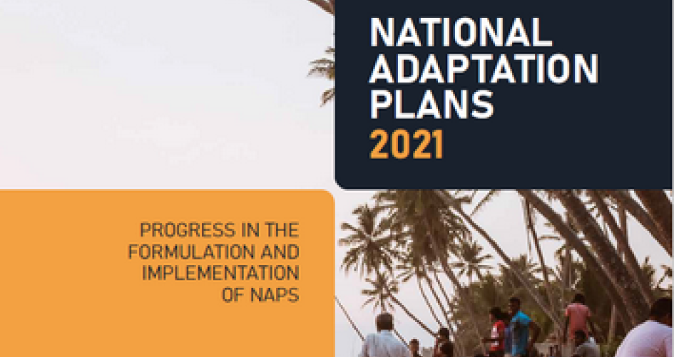 NAP progress report 2021