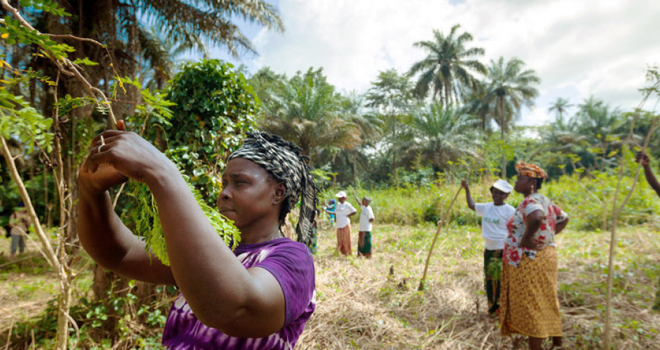 Women Guinea agriculture