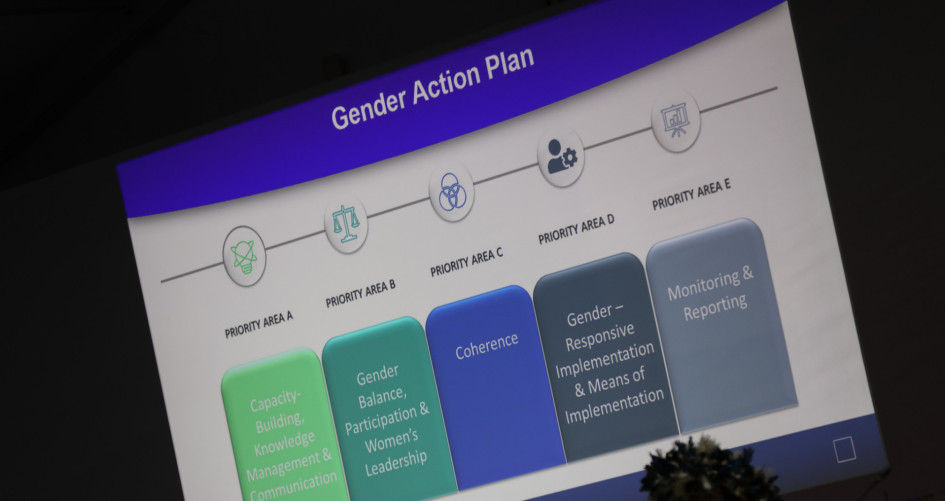 Gender Action Plan presentation at mandated event at COP 27