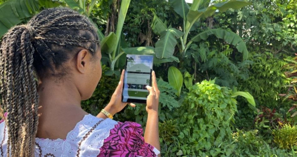 Participant of the Climate Watch App workshop in Port Vila, Vanuatu, tests the Climate Watch App.