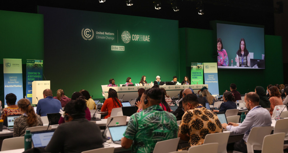 Gender data conference at COP 28