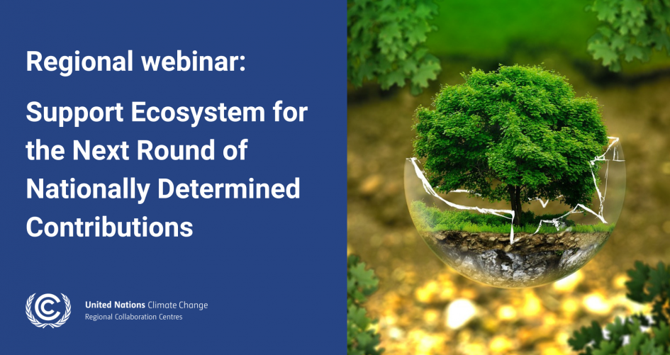 Regional webinar: Support Ecosystem for the Next Round of Nationally Determined Contributions