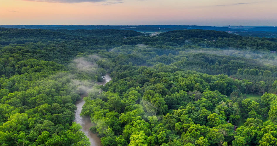 River in a forest.