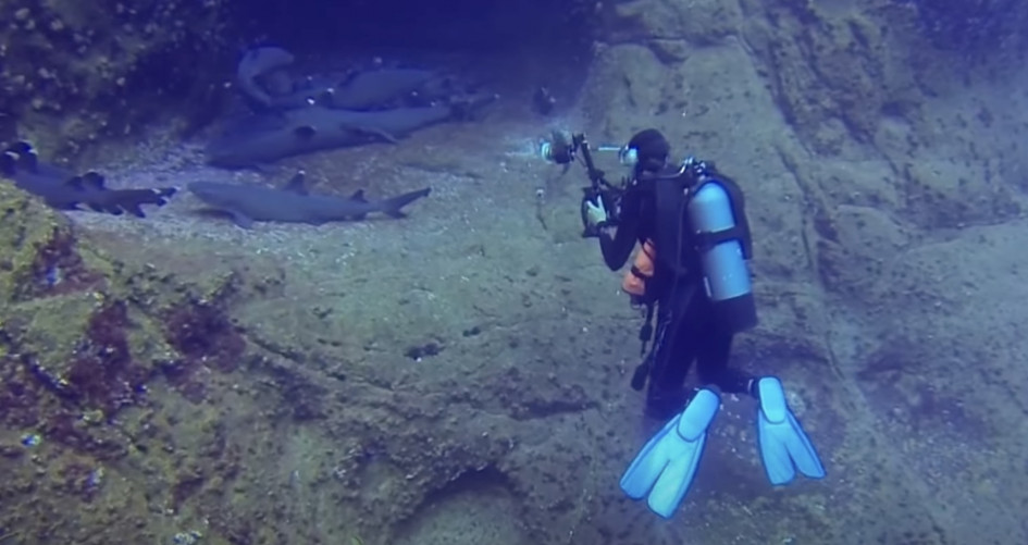 Vivian underwater filming YCR