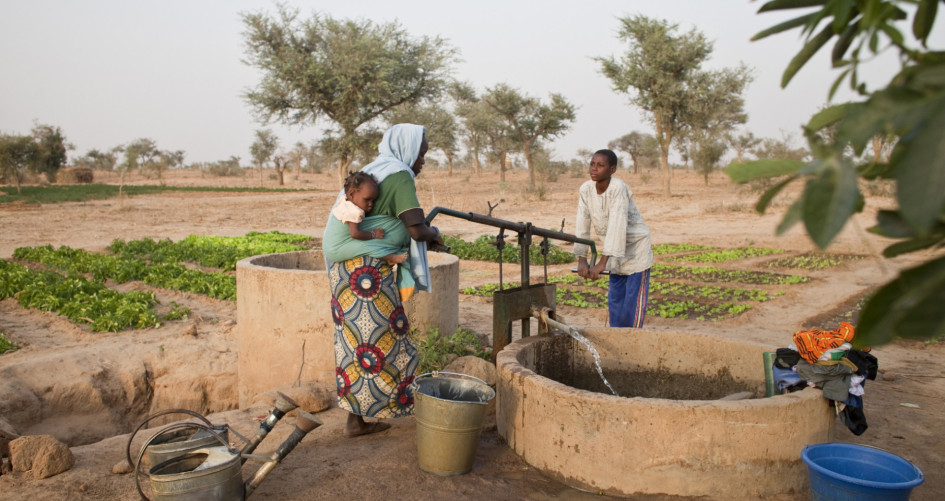 Niger - Family harvesting water