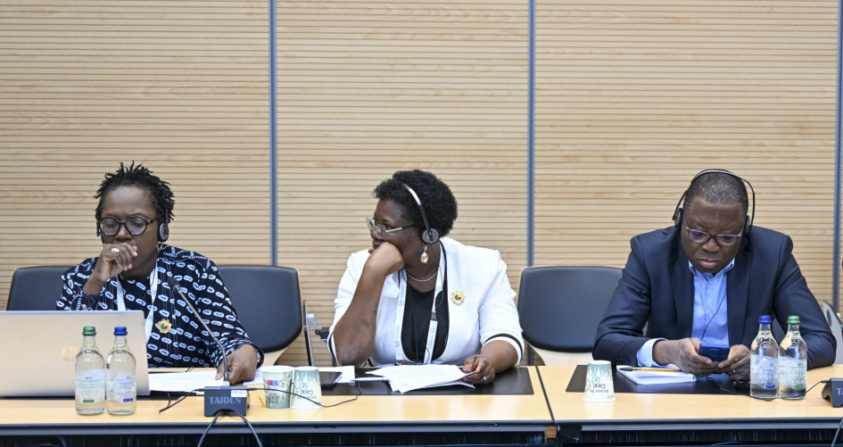 Participants in a learning event for Parliamentarians, organized in collaboration with the Inter-Parliamentary Union and UNEP.