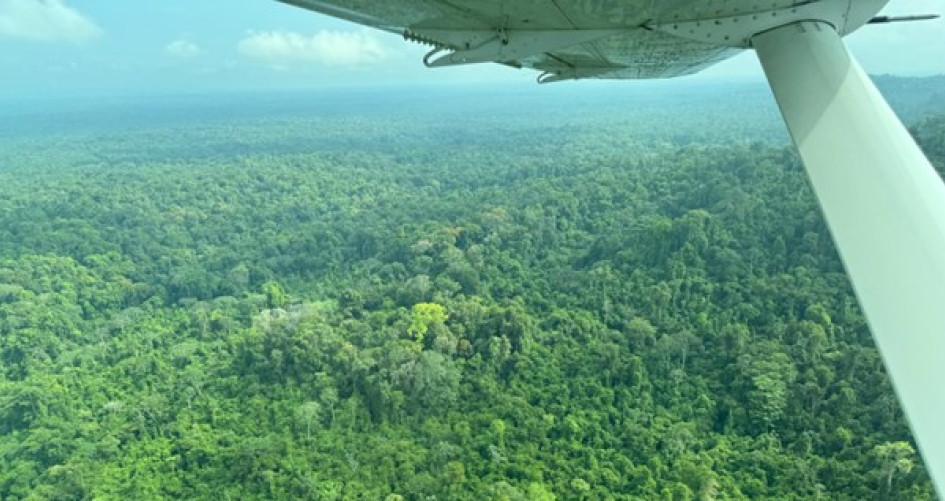 Aerial View of Guyana's Rainforest 