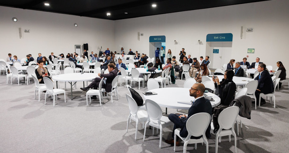 UGIH COP 29