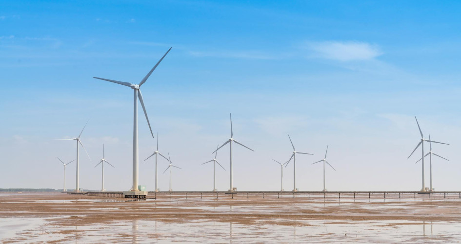 white windmills