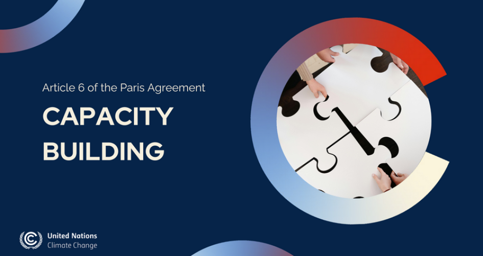 Article 6 Capacity Building