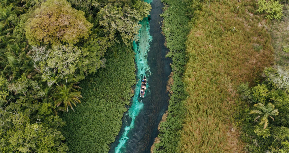 River Flowing in Tropical Forest