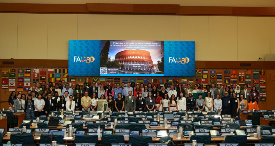 Second workshop under the Sharm el-Sheikh Dialogue, 6-7 October 2025, FAO, Rome, Italy