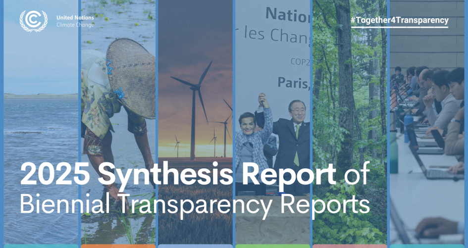 Banner for 2025 BTR Synthesis Report