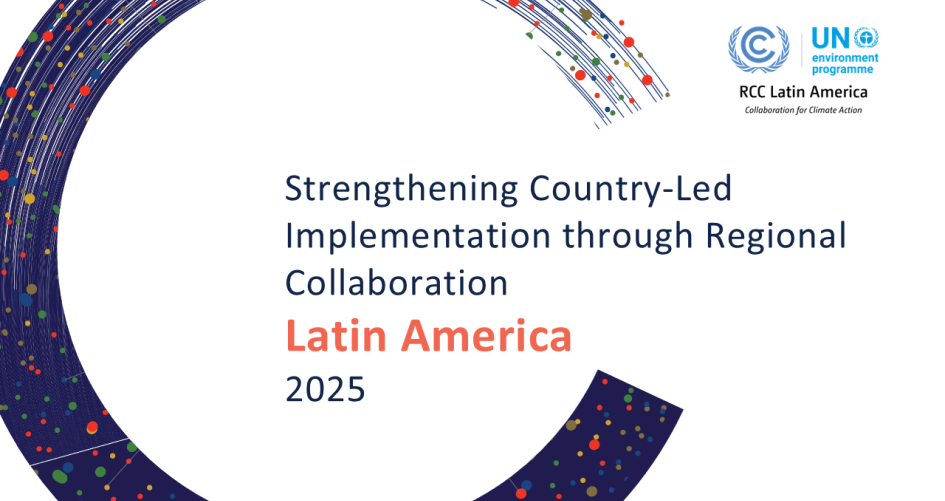 RCC Annual Report 2025 hero image LatAm