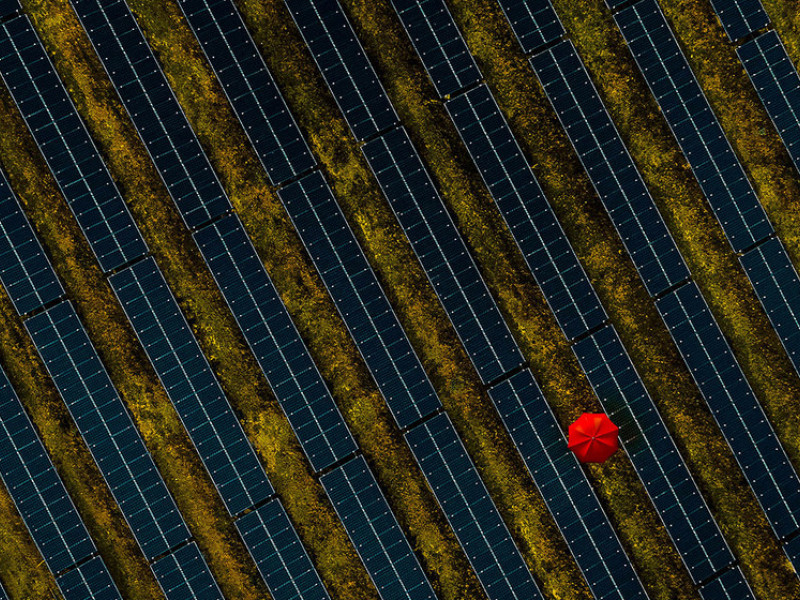 Person with umbrella walking through field of solar panels