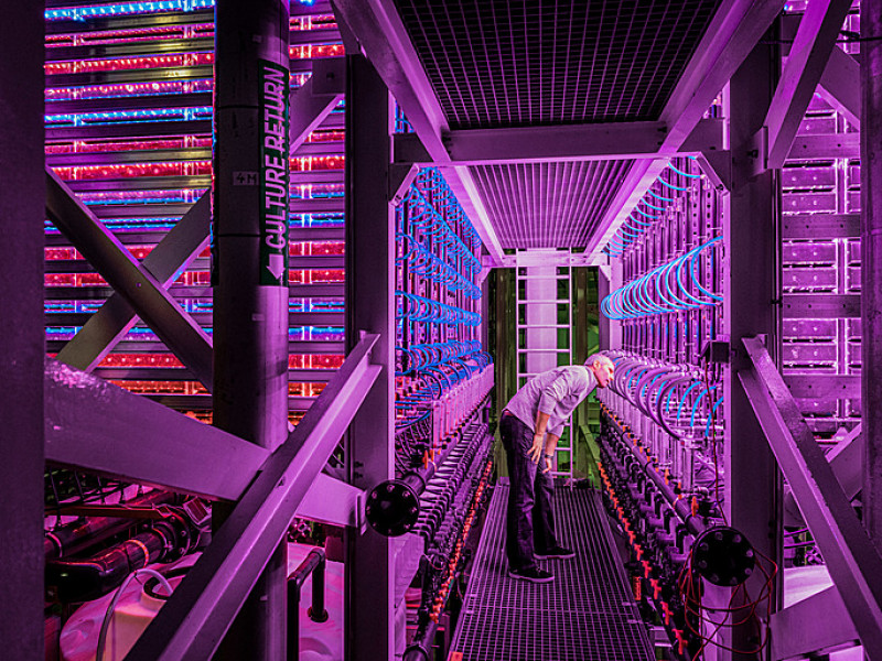 Kristinn Haflidason, CEO of Algaennovation, monitors one of their photobioreactors in the micro-algae production facility, at ON’s Geothermal Park in Hellisheidi.