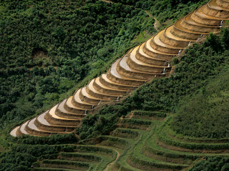 Aerial Photography Of Rice Terraces