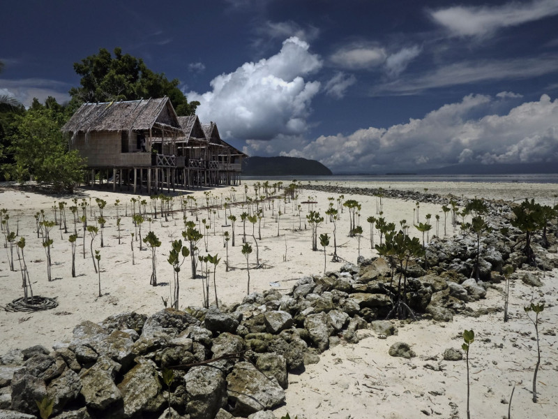 On Arborek Island, Indonesia, shrubs and coral blocks are planted to prevent erosion of the beach.
