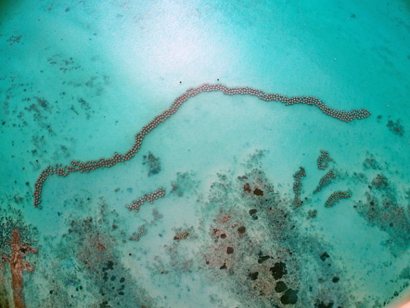 Overhead view of the ocean and clear sea water, an underwater artificial reef installed on the sea bed to protect dead corals with artificial formations to provide habitat for fish and reduce sand erosion.