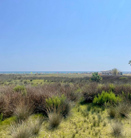 Protecting the shoreline and ecosystems through nature-based solutions