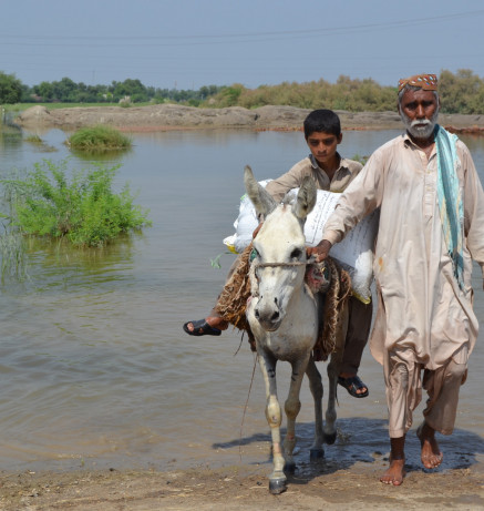 Brooke Pakistan Flood Relief and Rehabilitation Operation 1