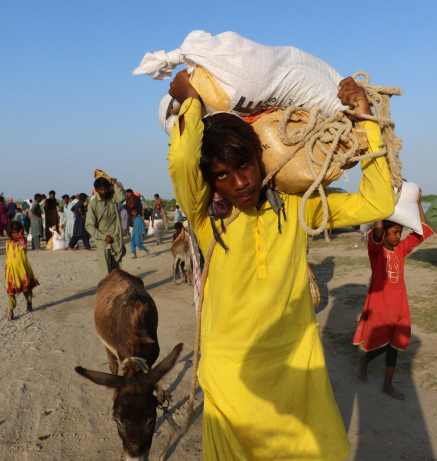 Brooke Pakistan Flood Relief and Rehabilitation Operation 4