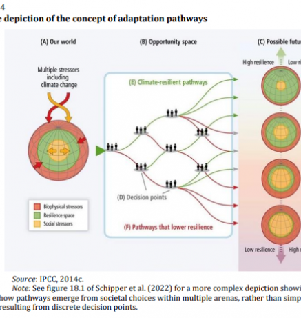 Methodologies adaptation needs_4.PNG