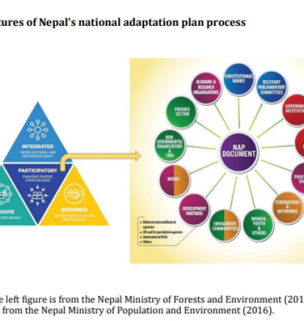 Methodologies adaptation needs_9.PNG