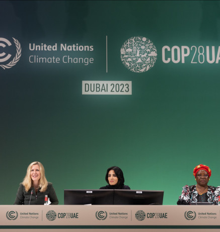 Counting on a Sustainable Future: Global Conference on Gender and Environment Data_11