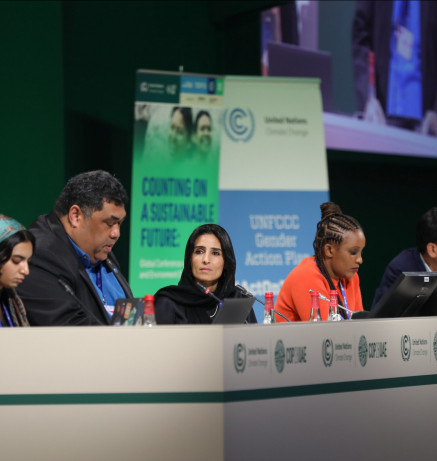 Counting on a Sustainable Future: Global Conference on Gender and Environment Data_20