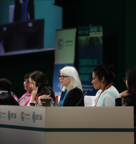 Counting on a Sustainable Future: Global Conference on Gender and Environment Data_22