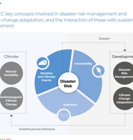How developing countries are addressing hazards_1